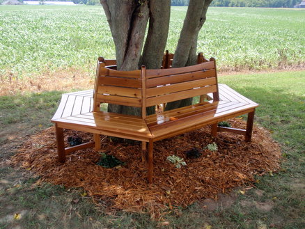 We earn a commission for products purchased through some links in this arti. Landscaping Around Trees - Ideas You Should Not Miss!