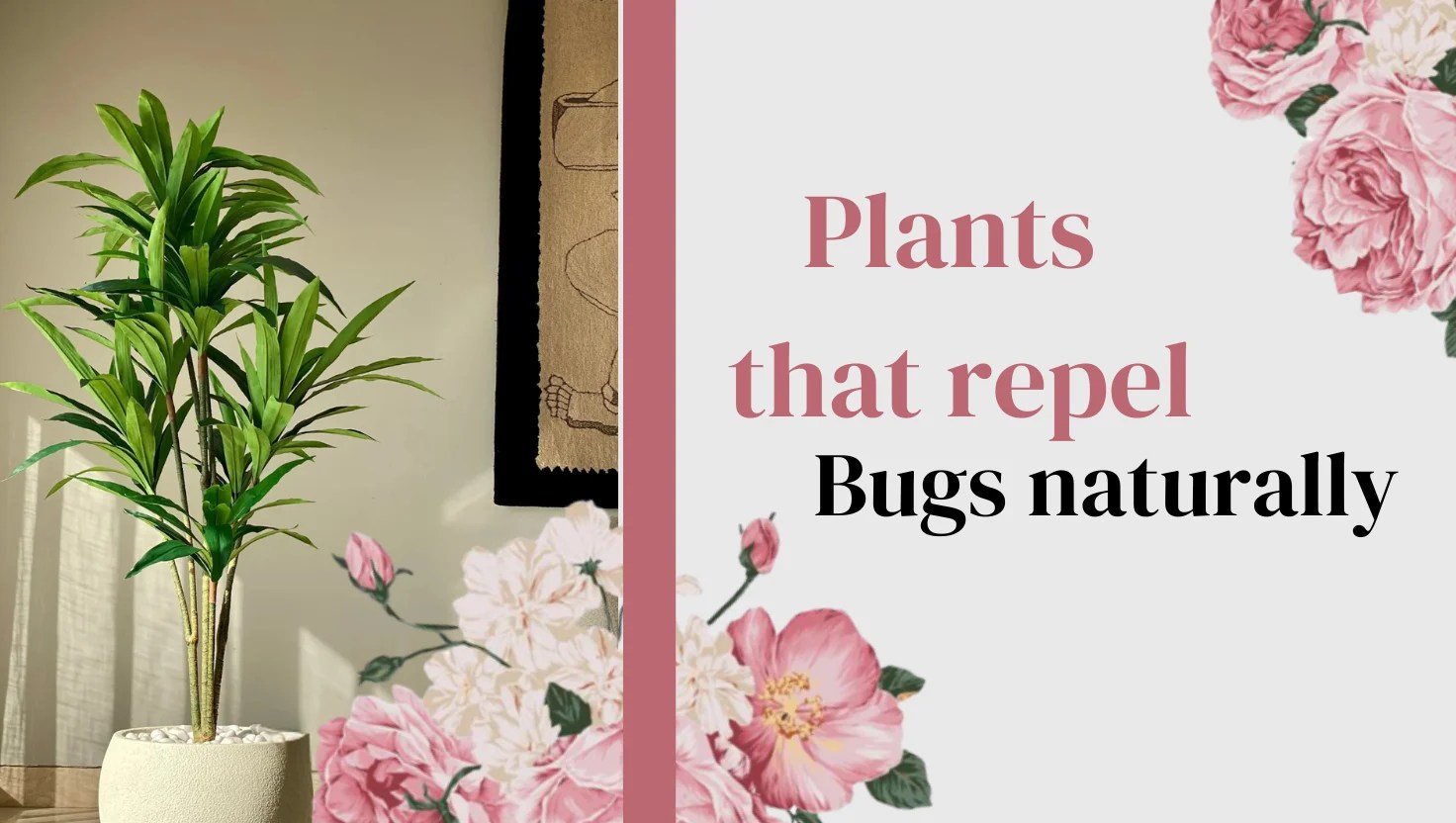 plants that repel bugs