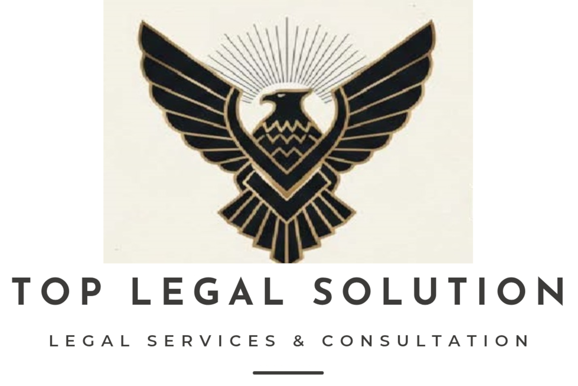 TLS.Logo 3