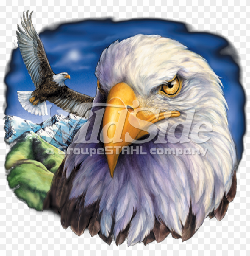 One Eagle Flying Eagle Head American Eagle Flag Png Image With Transparent Background Toppng