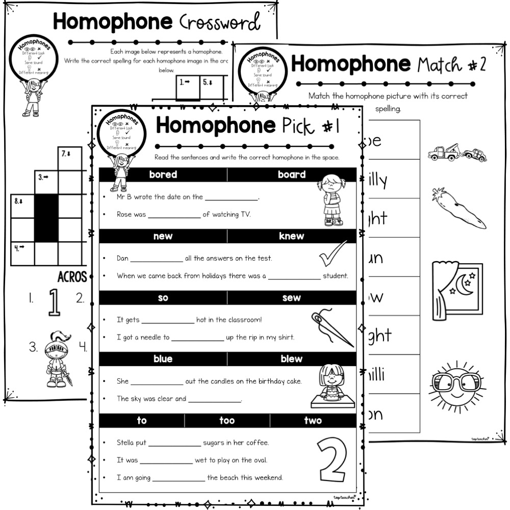homophone worksheet package top teacher