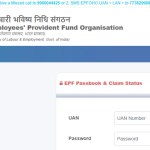 How to check EPFO PF balance online using UAN