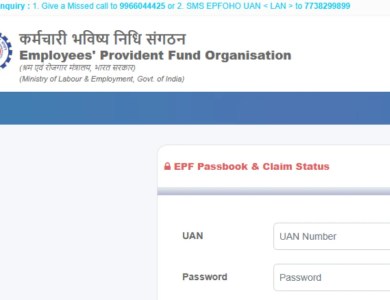 How to check EPFO PF balance online using UAN