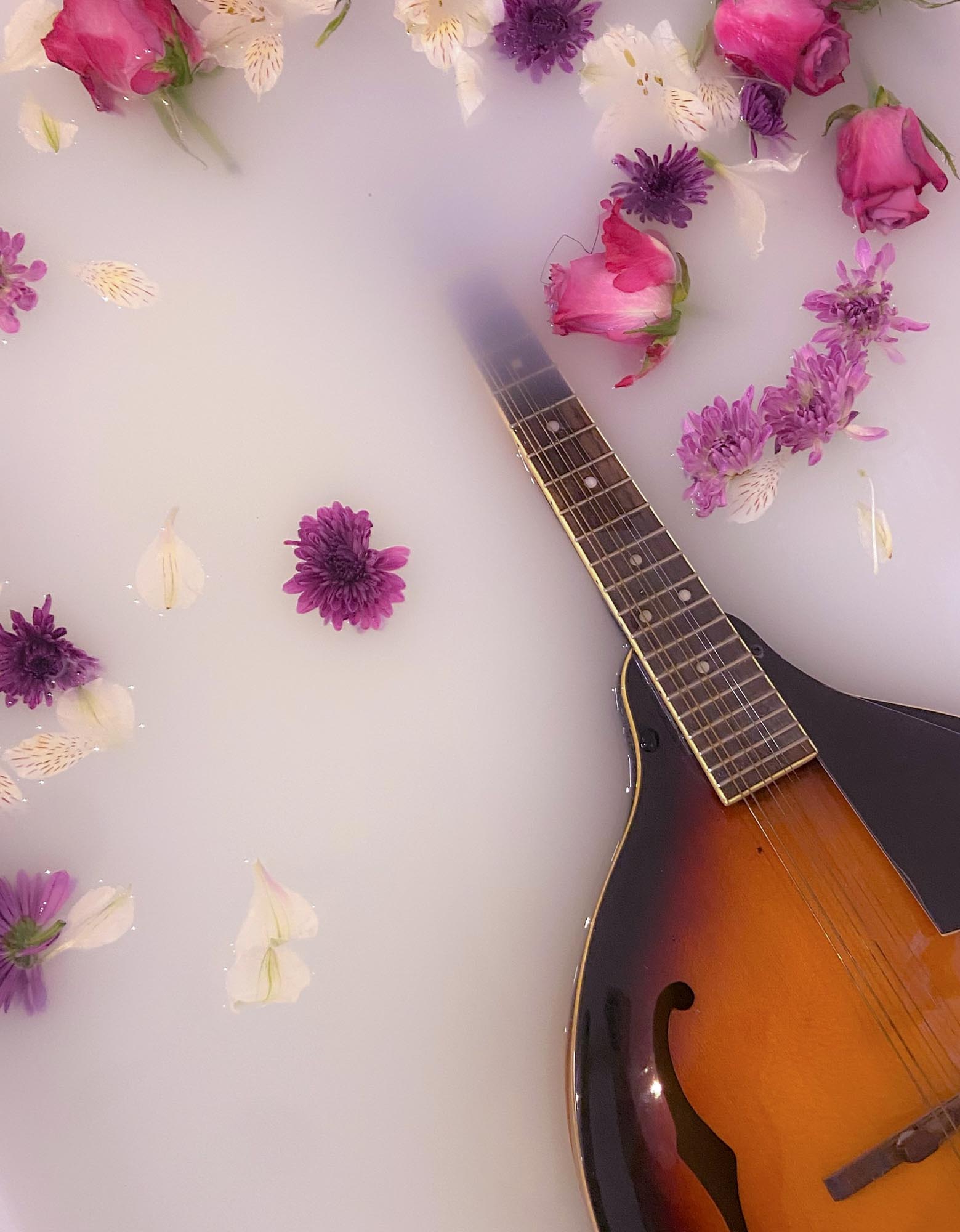 Photo of a guitar immersed in cloudy water with flowers floating in the water.