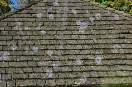 Roof with footsteps.