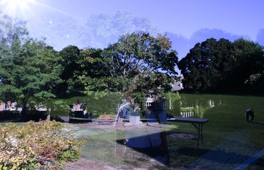 Backyard with silhouettes.