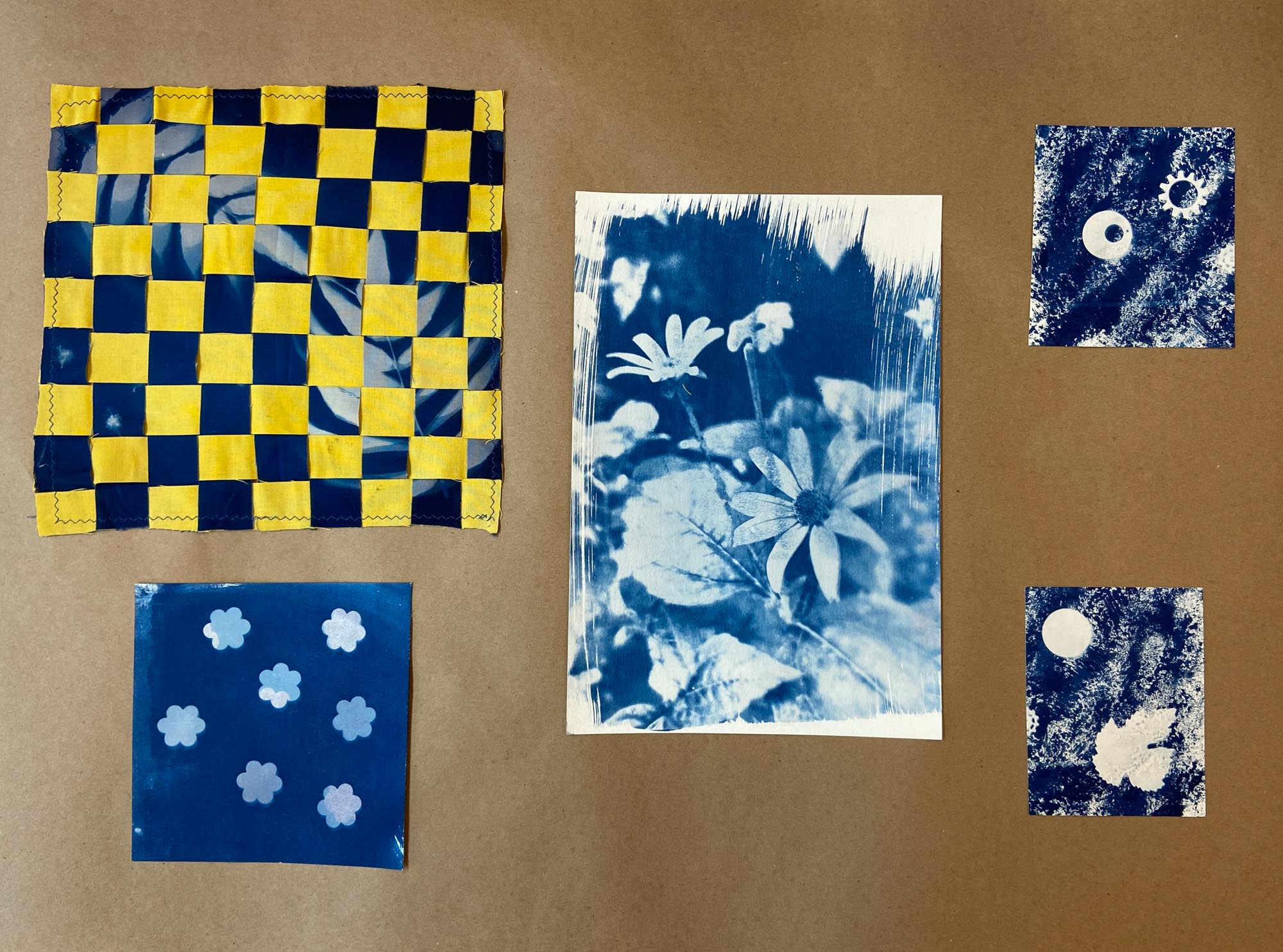Various cyanotype photos laid out in a collage.