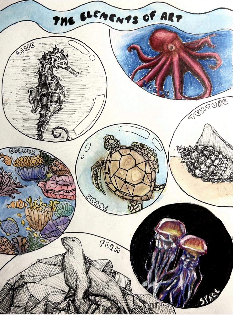 Sketches of different ocean life in different artistic styles.