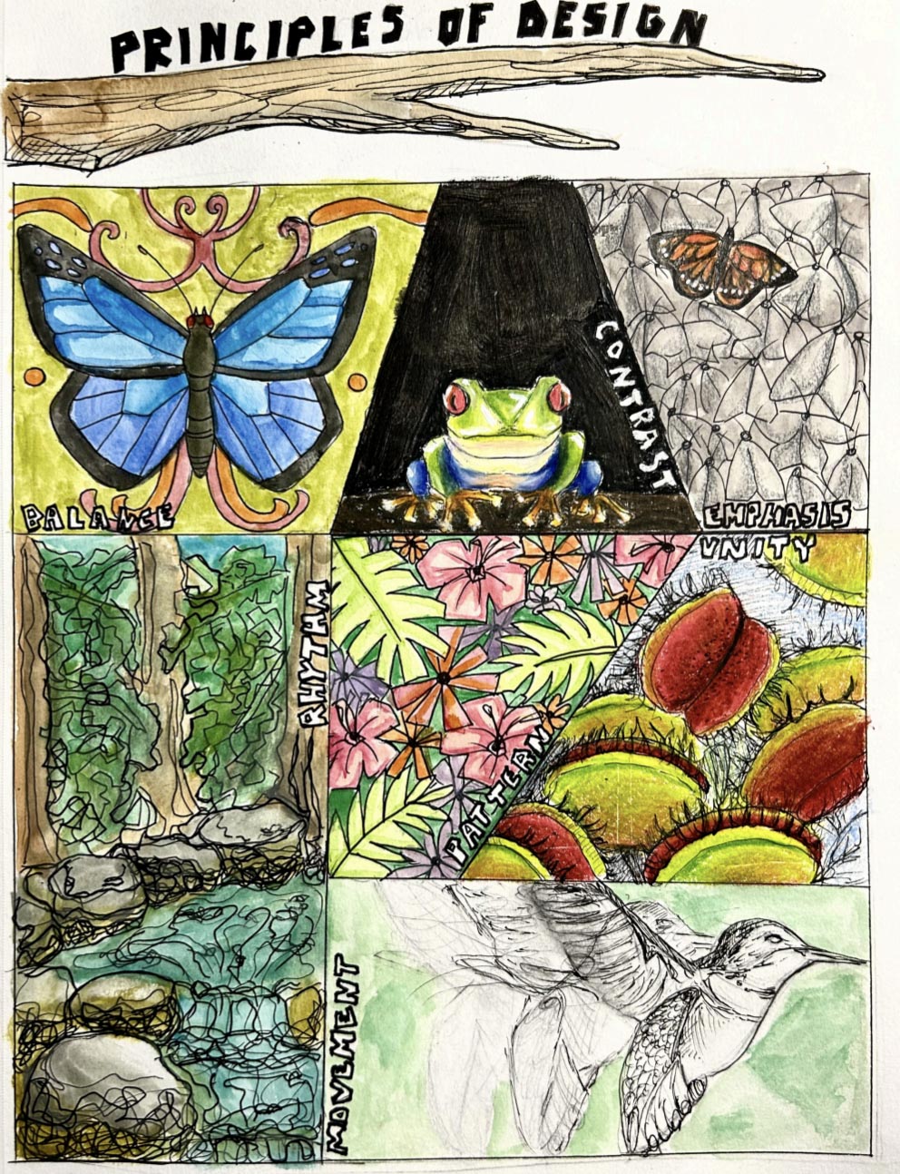 Sketches of different forest life using different styles of art.