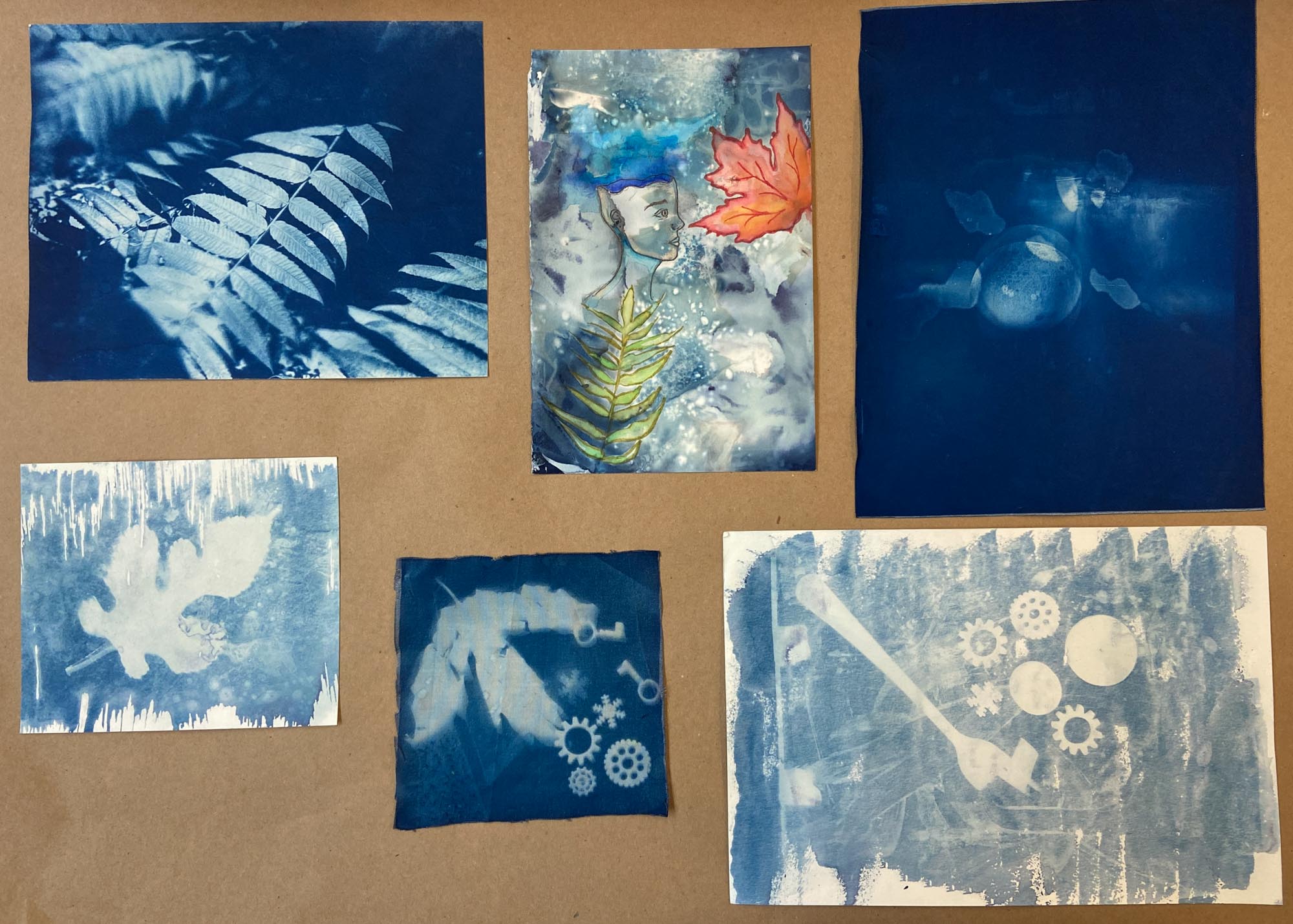 Various cyanotype photos laid out in a collage.