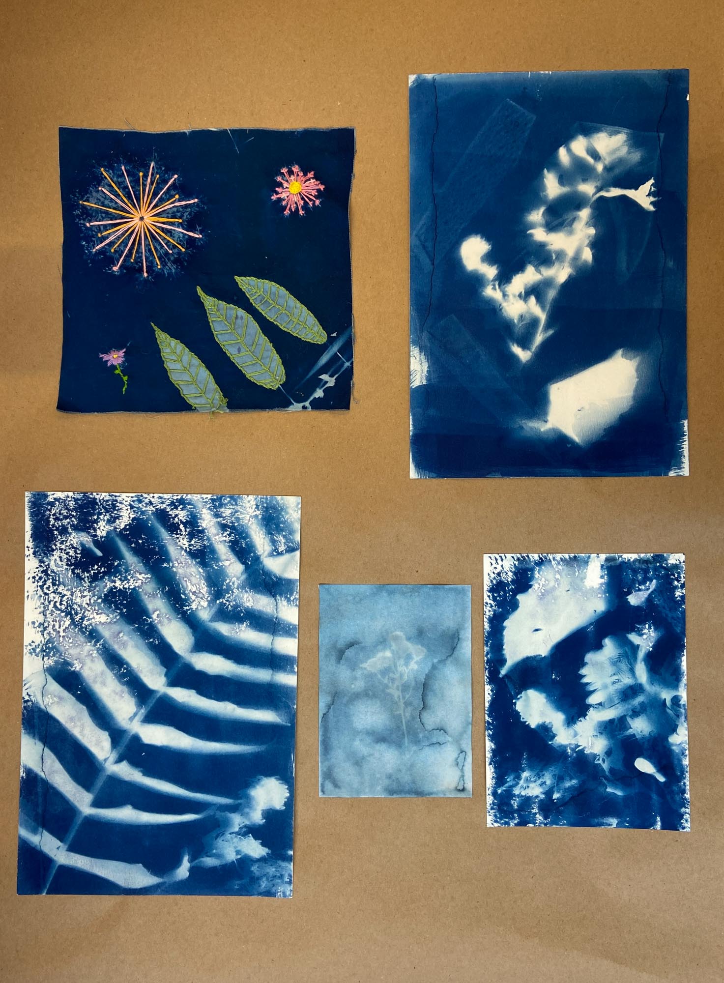 Various cyanotype photos laid out in a collage.