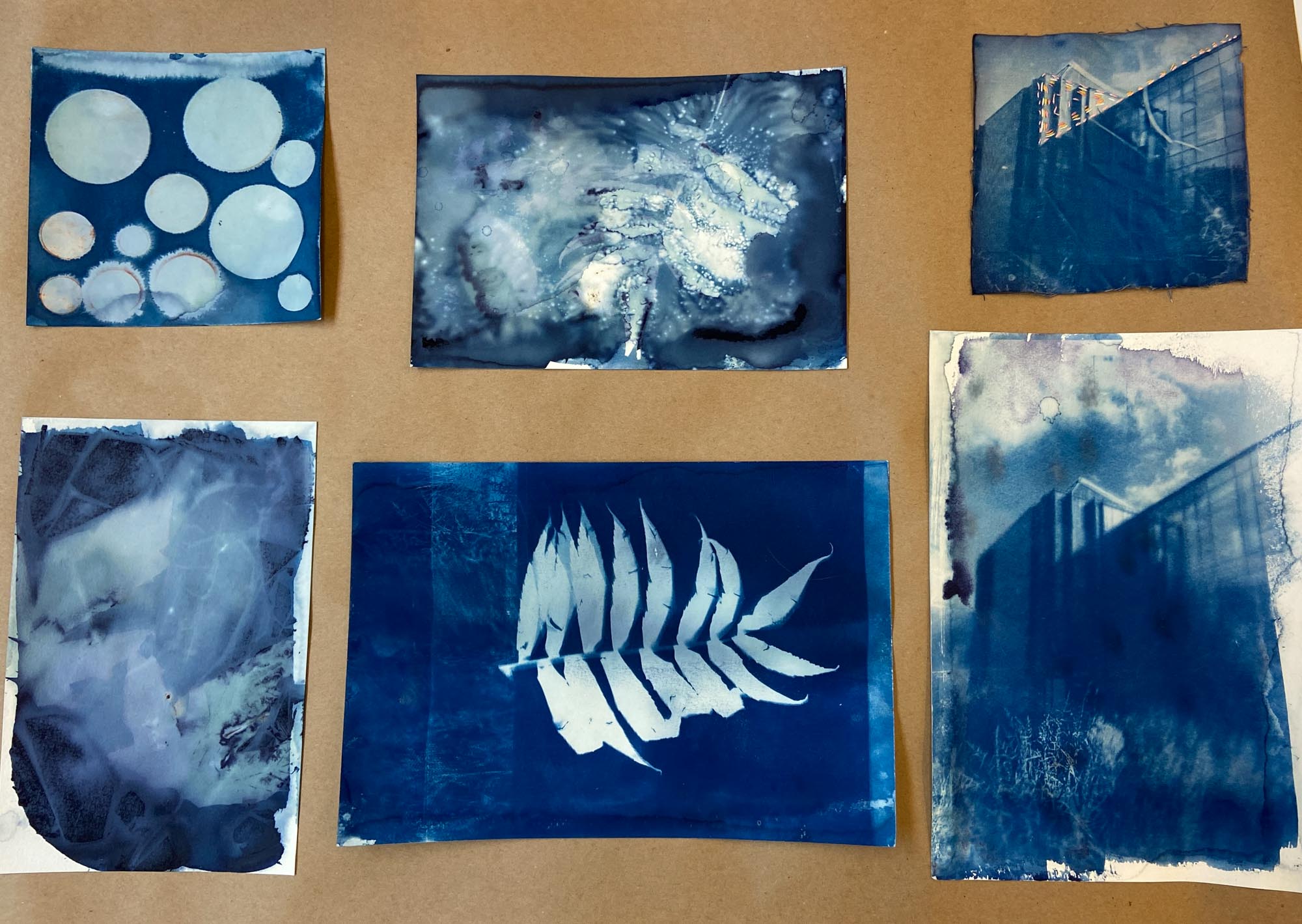 Various cyanotype photos laid out in a collage.