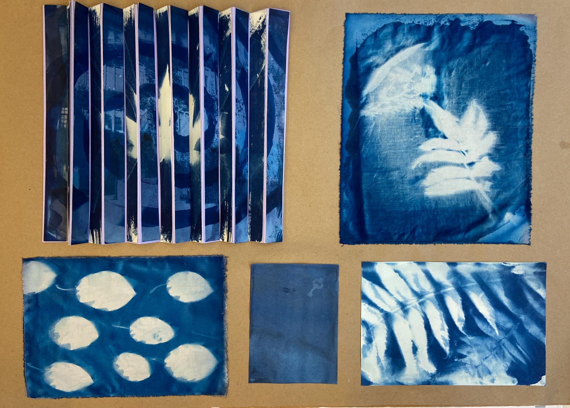 Various cyanotype photos laid out in a collage.