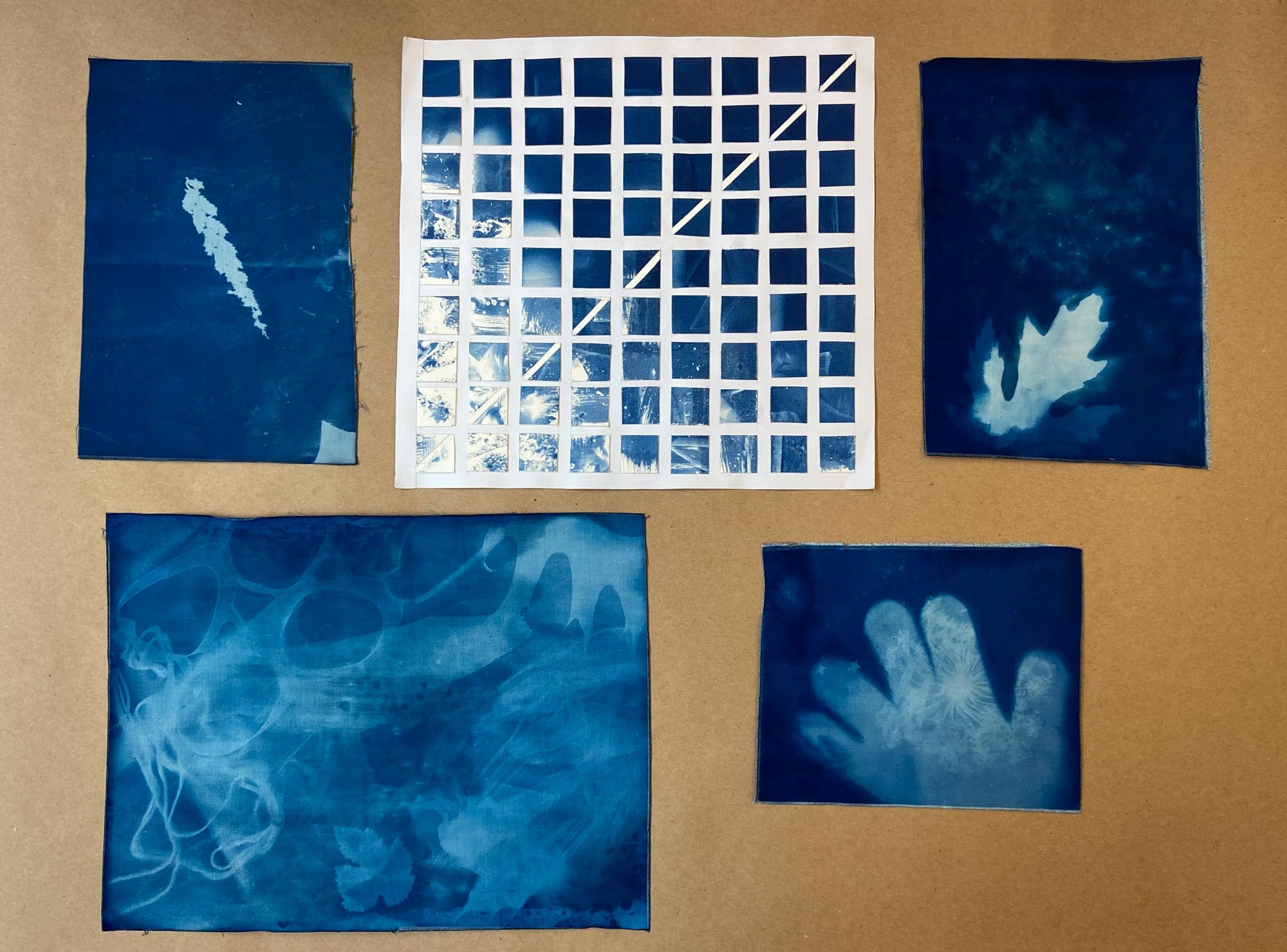 Various cyanotype photos laid out in a collage.