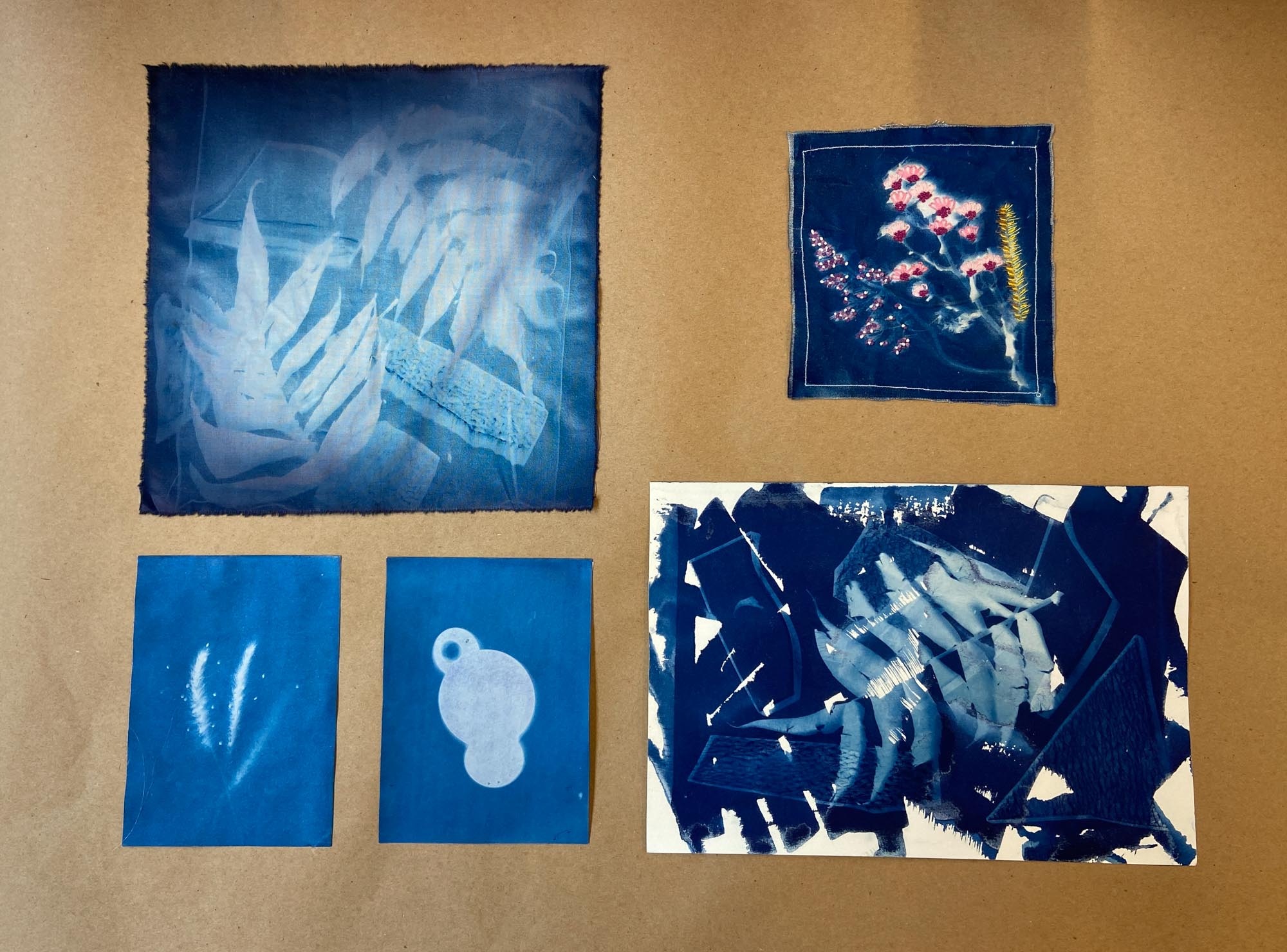 Various cyanotype photos laid out in a collage.