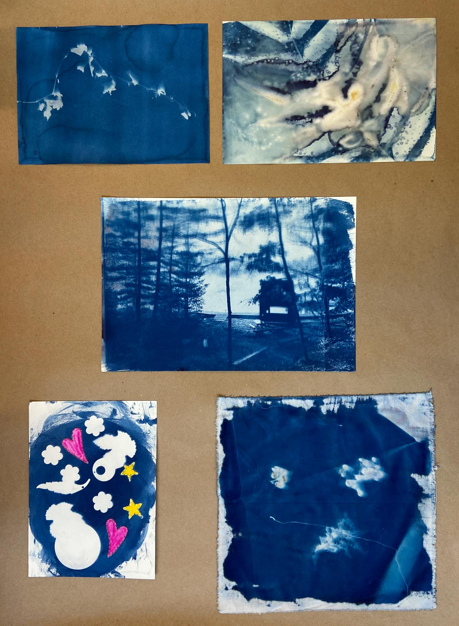 Various cyanotype photos laid out in a collage.