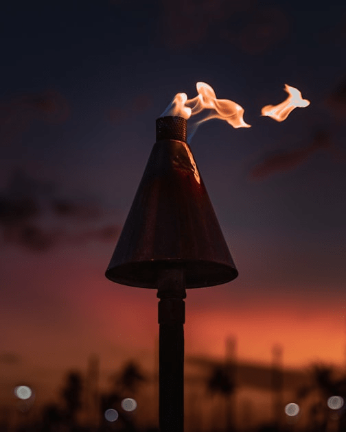 Upcoming Exhibitions at TorchWick