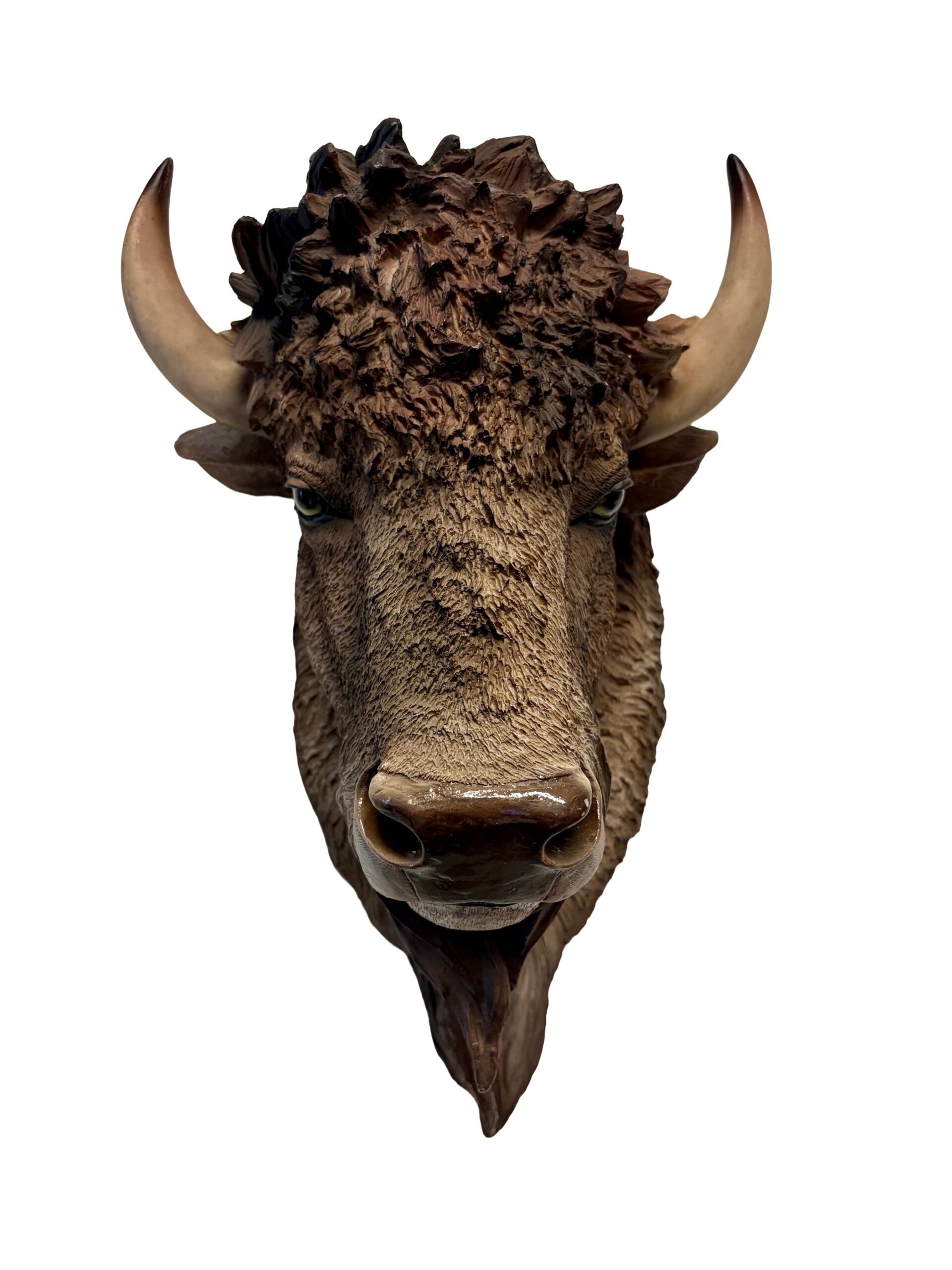 CABEZA DE BUFALO T.O.-A03C