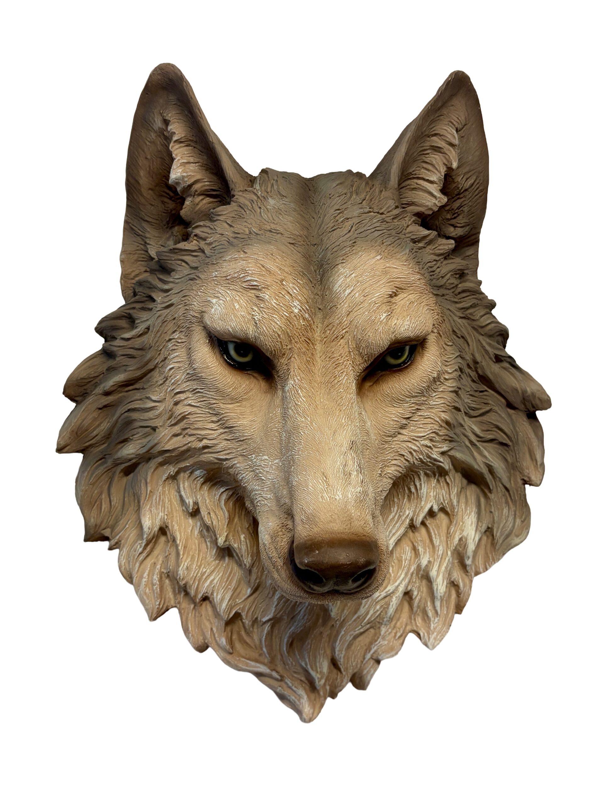 CABEZA DE LOBO T.O.-A151C