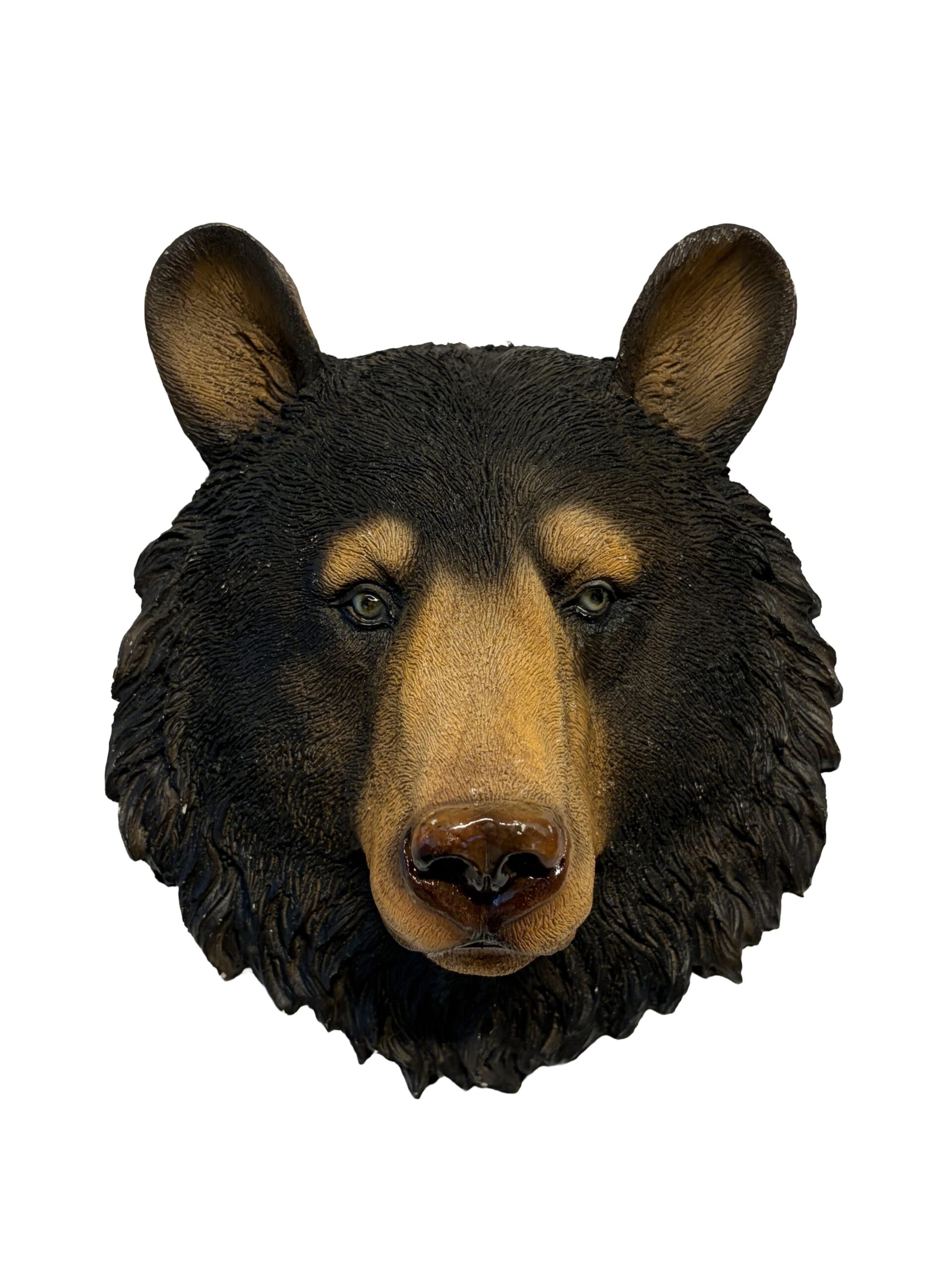 CABEZA DE OSO T.O. MINI-A034D