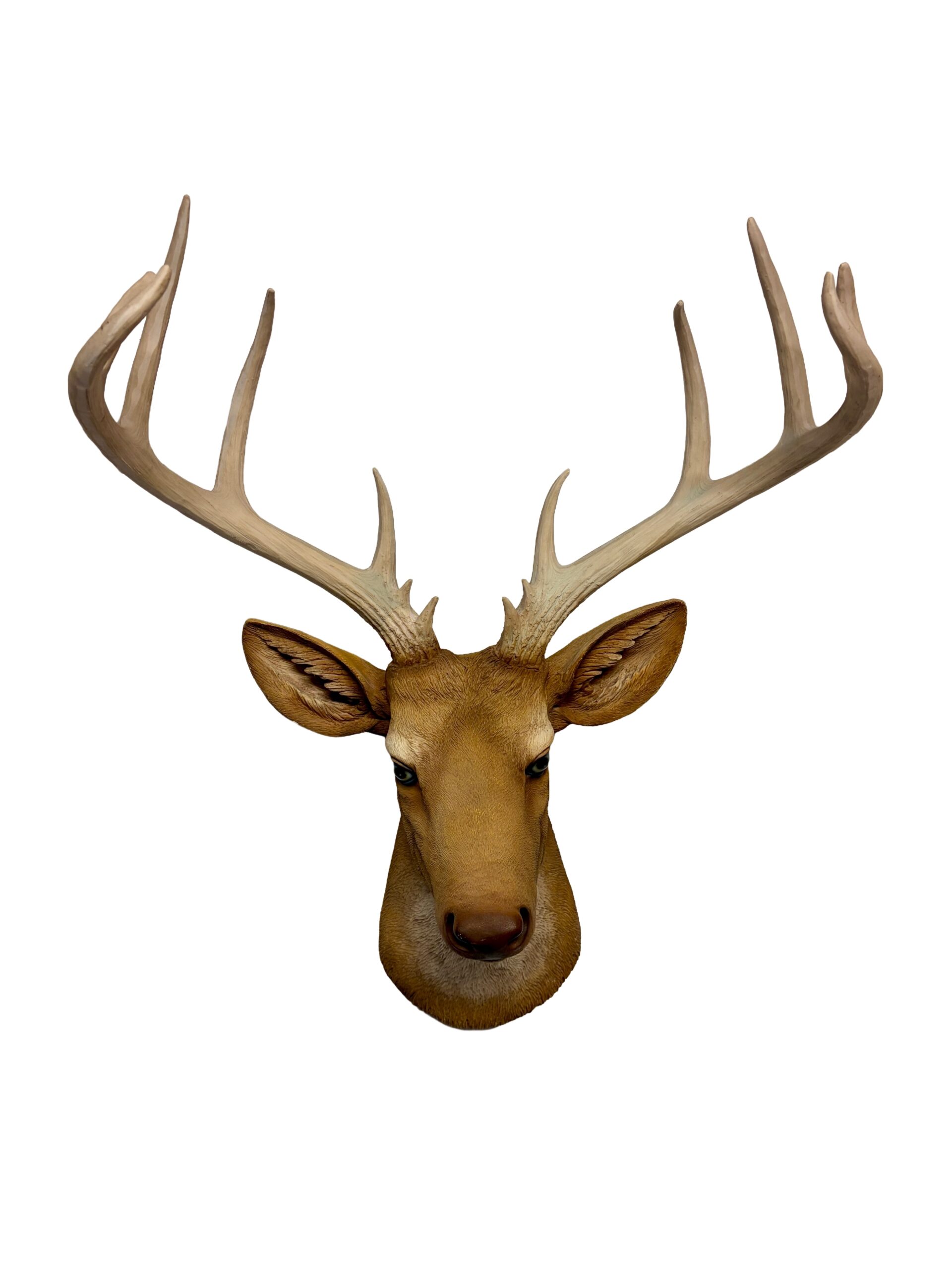 CABEZA DE VENADO T.O.-A07C