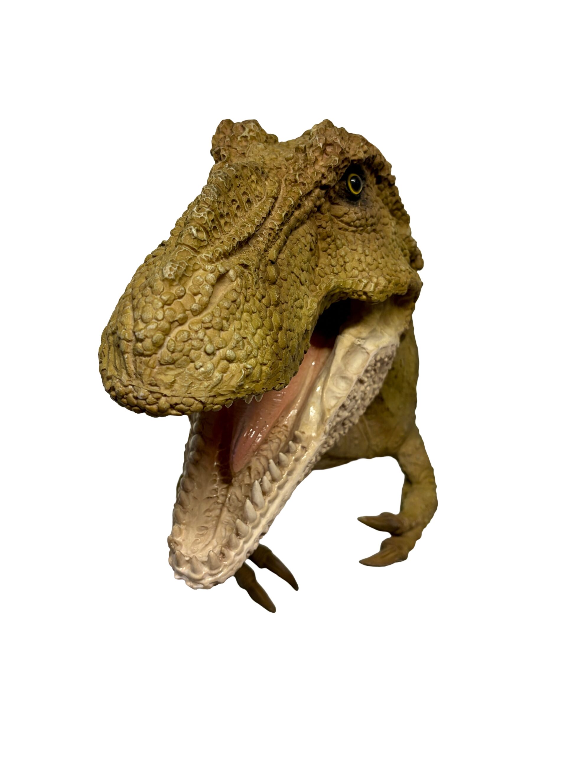 CABEZA DE DINOSAURIO CON BRAZOS T.O. VERDE-A070B
