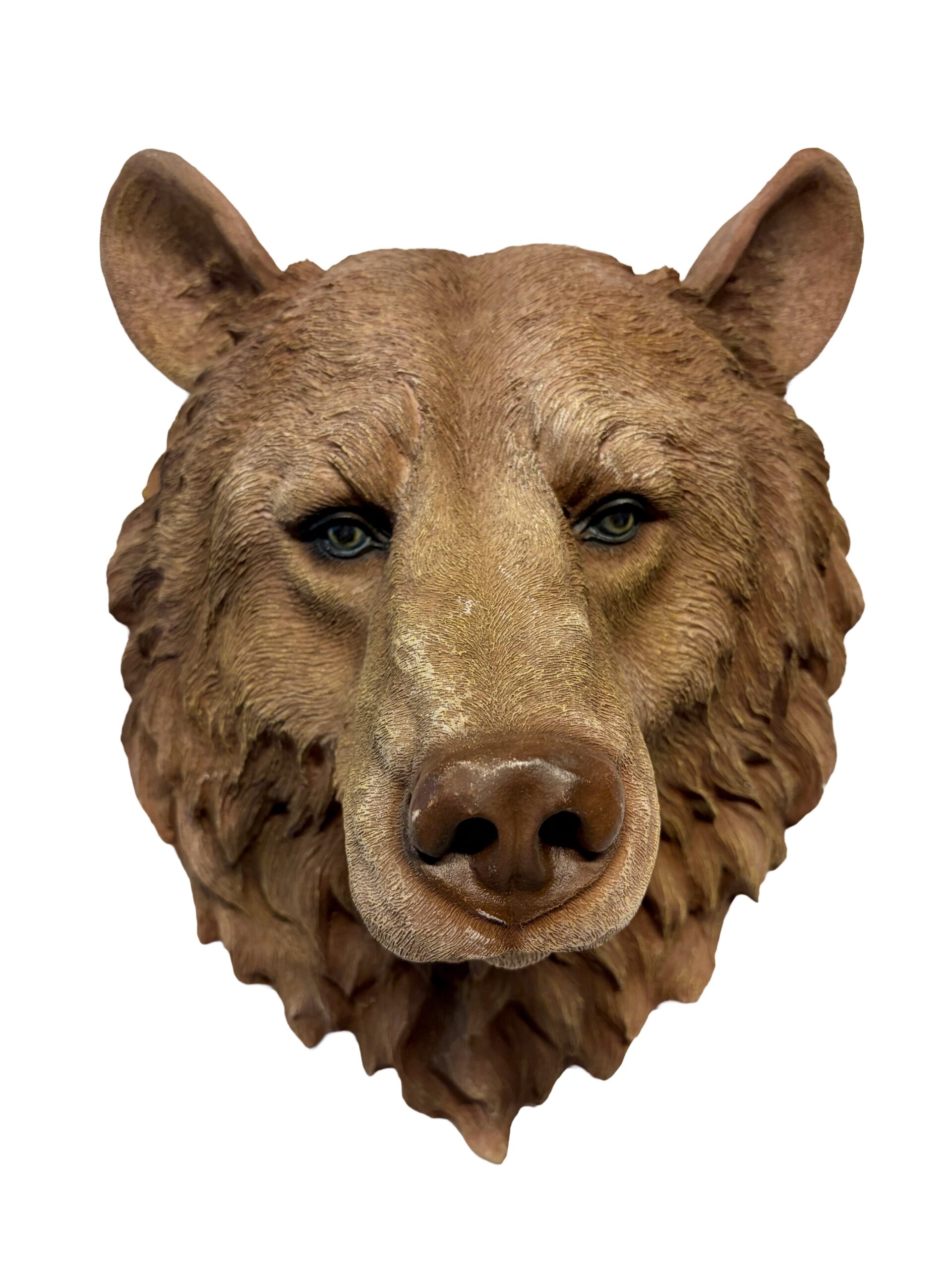CABEZA DE OSO CAFÉ-A01D