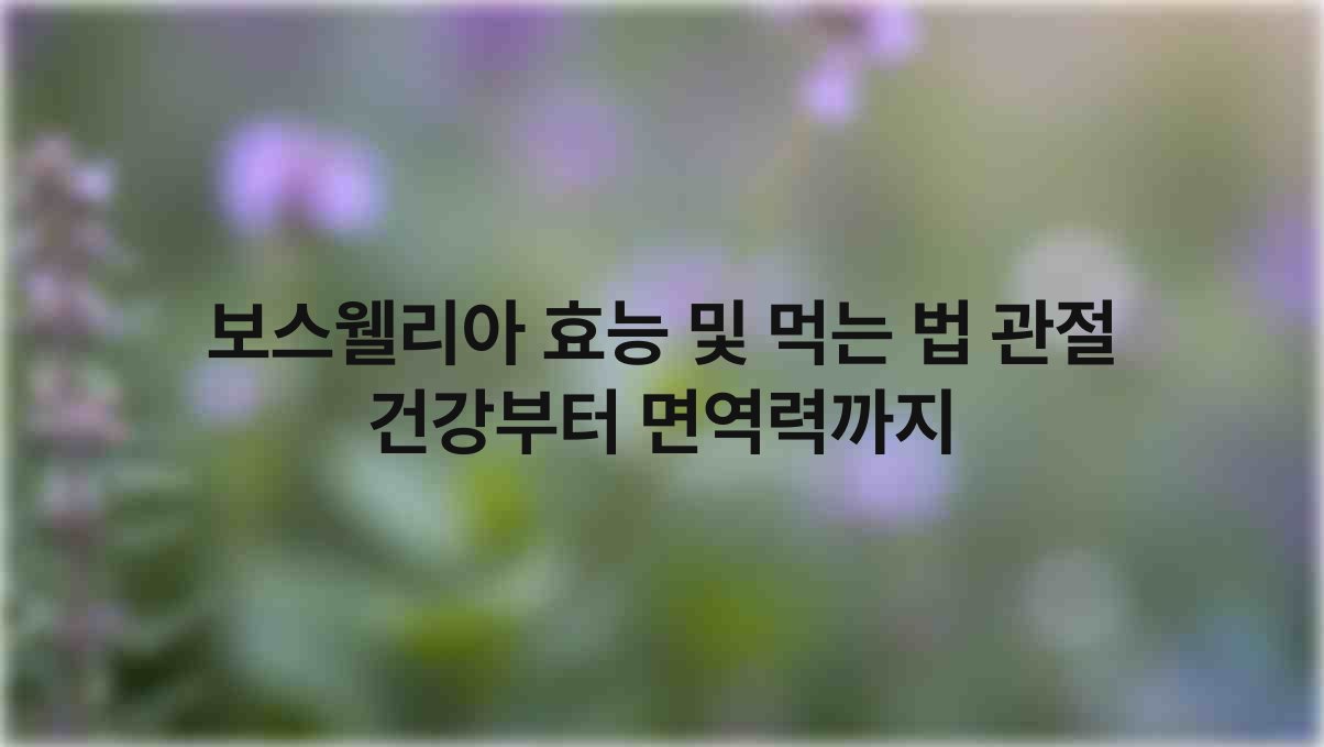 보스웰리아 효능 및 먹는 법 관절 건강부터 면역력까지 1