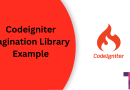 Codeigniter Pagination Library Example Torque Programming