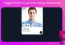 How to Create Toggle Profile Info using JavaScript