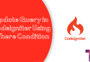 Update Query in Codeigniter Using Where Condition