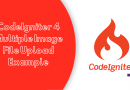 CodeIgniter 4 Multiple Image File Upload Example