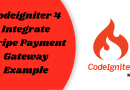 Codeigniter 4 Integrate Stripe Payment Gateway Example