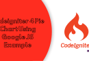 Codeigniter 4 Pie Chart Using Google JS Example