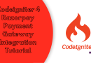 Codeigniter 4 Razorpay Payment Gateway Integration Tutorial Torque Programming
