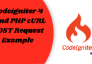 Codeigniter 4 Send PHP cURL POST Request Example