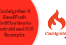 Codeigniter 4 Send Push Notification to Android and IOS Example