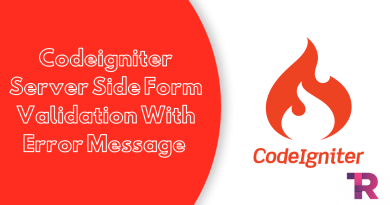 Codeigniter Server Side Form Validation With Error Message Torque Programming