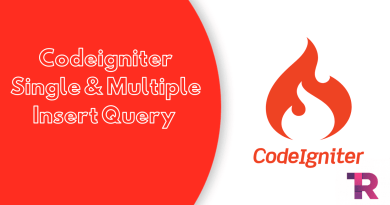 Codeigniter Single Multiple Insert Query Torque Programming