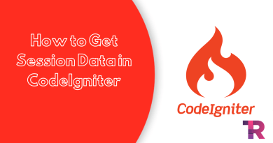 How to Get Session Data in CodeIgniter Torque Programming