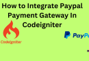 Paypal Payment Gateway Integration in Codeigniter