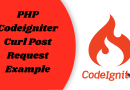 PHP Codeigniter Curl Post Request Example