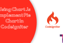 Using Chart Js Implement Pie Chart In Codeigniter