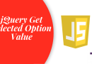jQuery Get Selected Option Value