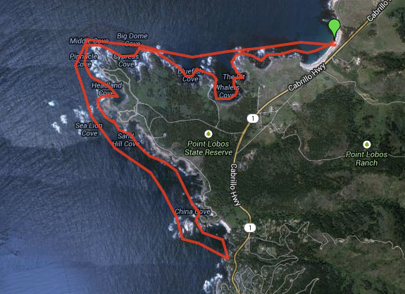 log – torso rotation