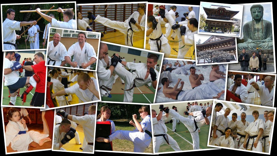 W 2011 roku wzięliśmy udział w 8 różnych szkoleniach. Ćwiczyliśmy walkę w półdystansie, poznawaliśmy CrossFit, dwukrotnie odwiedzaliśmy Japonię, a smoki dodawały nam siły i odwagi ;)