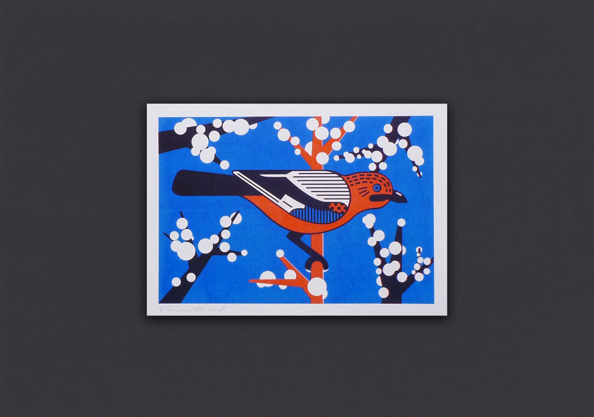Riso print of a Vlaamse Gaai
