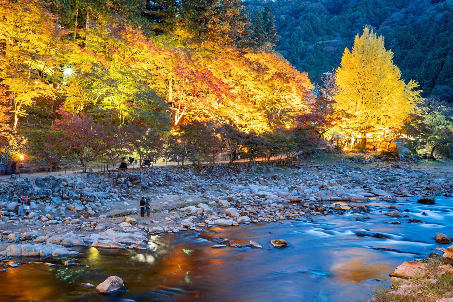 夜間點燈照亮溪岸金黃樹林，流水繞過河床岩石
