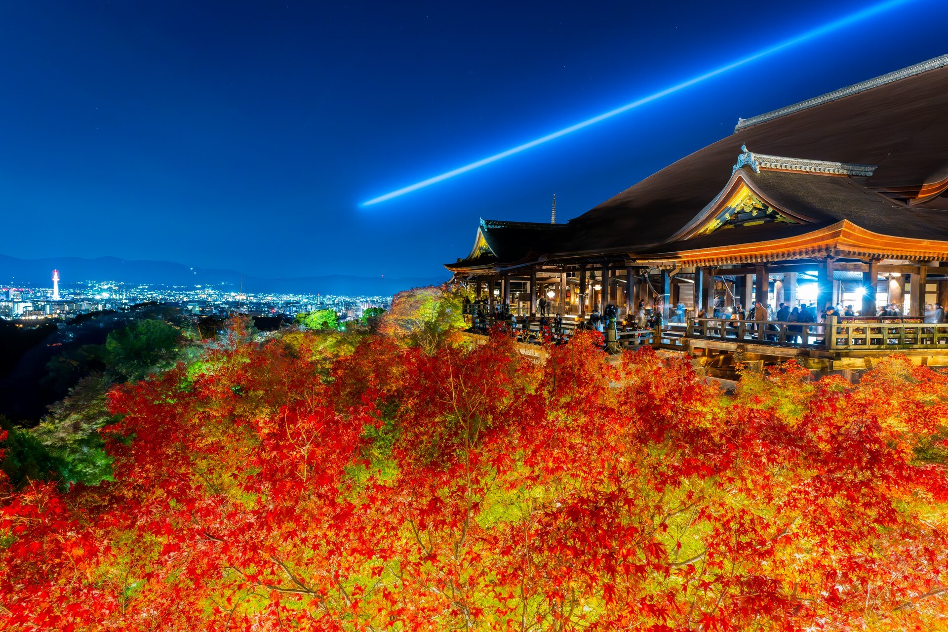 紅葉環繞的寺院舞台，藍色光束劃過夜空