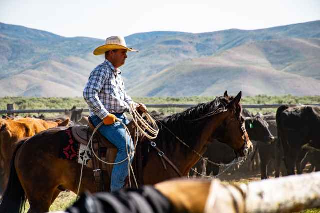 photography of a person riding horse - Best Books About Cowboys